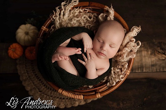Essential Newborn Session